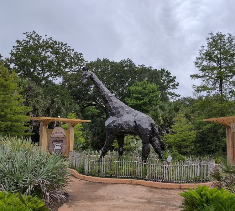 jacksonville-zoo-and-gardens-photo